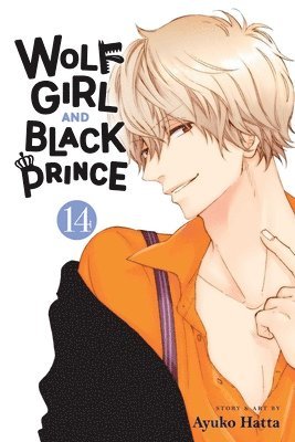 bokomslag Wolf Girl and Black Prince, Vol. 14