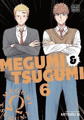 Mitsuru Si - Megumi & Tsugumi, Vol. 6, Häftad