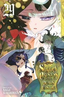 Kagiji Kumanomata - Sleepy Princess in the Demon Castle, Vol. 29, Häftad