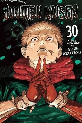 Gege Akutami - Jujutsu Kaisen, Vol. 30, Häftad
