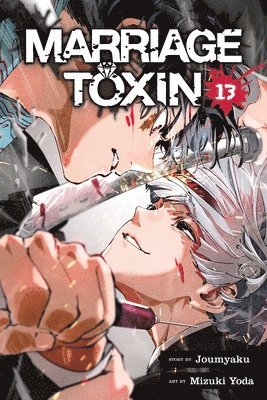 Marriage Toxin, Vol. 13