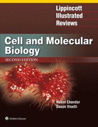 bokomslag Lippincott Illustrated Reviews: Cell and Molecular Biology