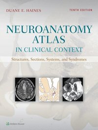 bokomslag Neuroanatomy Atlas in Clinical Context