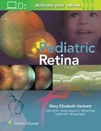 bokomslag Pediatric Retina