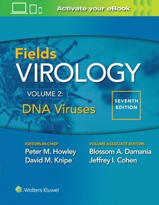 bokomslag Fields Virology: DNA Viruses