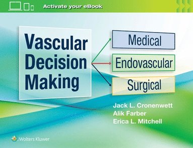 bokomslag Vascular Decision Making