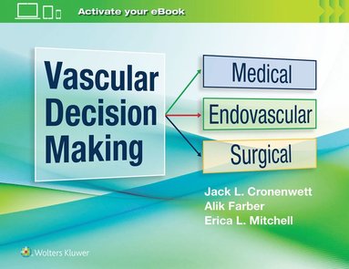 bokomslag Vascular Decision Making