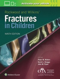 bokomslag Rockwood and Wilkins Fractures in Children