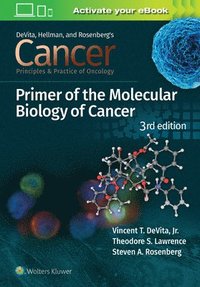 bokomslag Cancer: Principles and Practice of Oncology Primer of Molecular Biology in Cancer