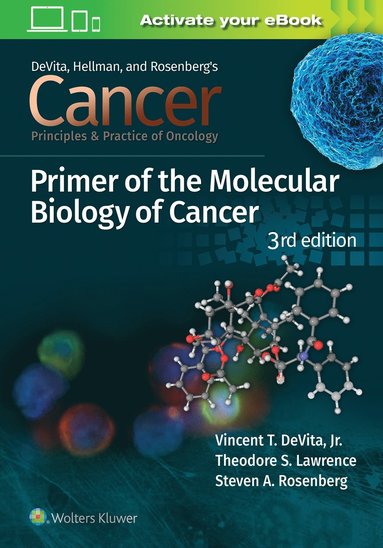 bokomslag Cancer: Principles and Practice of Oncology Primer of Molecular Biology in Cancer