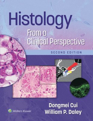 Dongmei Cui, William P. Daley, PhD Cui, Dr. Dongmei, MD (hon), MD Daley, William P. - Histology From a Clinical Perspective, Häftad