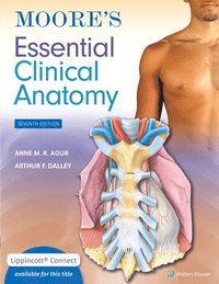 bokomslag Moore's Essential Clinical Anatomy