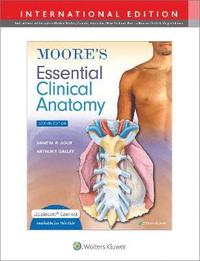 bokomslag Moore's Essential Clinical Anatomy