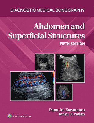 Abdomen and Superficial Structures 1