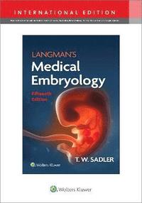 bokomslag Langman's Medical Embryology