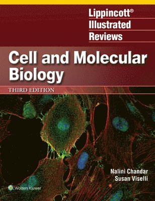 bokomslag Lippincott Illustrated Reviews: Cell and Molecular Biology