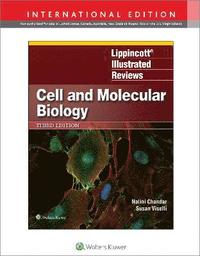 bokomslag Lippincott Illustrated Reviews: Cell and Molecular Biology