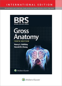 bokomslag BRS Gross Anatomy