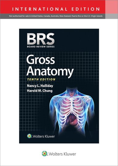 bokomslag BRS Gross Anatomy