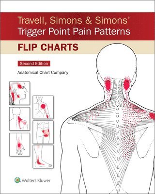 Travell, Simons & Simons Trigger Point Pain Patterns Flip Charts 1