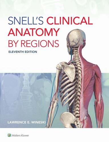 Lawrence E. Wineski - Snell's Clinical Anatomy by Regions, Häftad