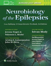 bokomslag Neurobiology of the Epilepsies