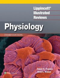 bokomslag Lippincott(r) Illustrated Reviews: Physiology