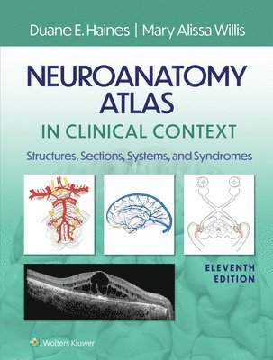 bokomslag Neuroanatomy Atlas in Clinical Context: Structures, Sections, Systems, and Syndromes