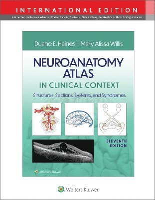 Neuroanatomy Atlas In Clinical Context 1