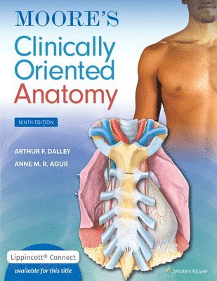 bokomslag Moore's Clinically Oriented Anatomy