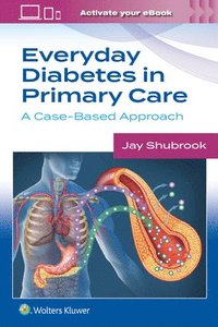 bokomslag Everyday Diabetes in Primary Care