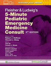 bokomslag Fleisher & Ludwig's 5-Minute Pediatric Emergency Medicine Consult