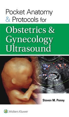 bokomslag Pocket Anatomy & Protocols for Obstetrics & Gynecology Ultrasound