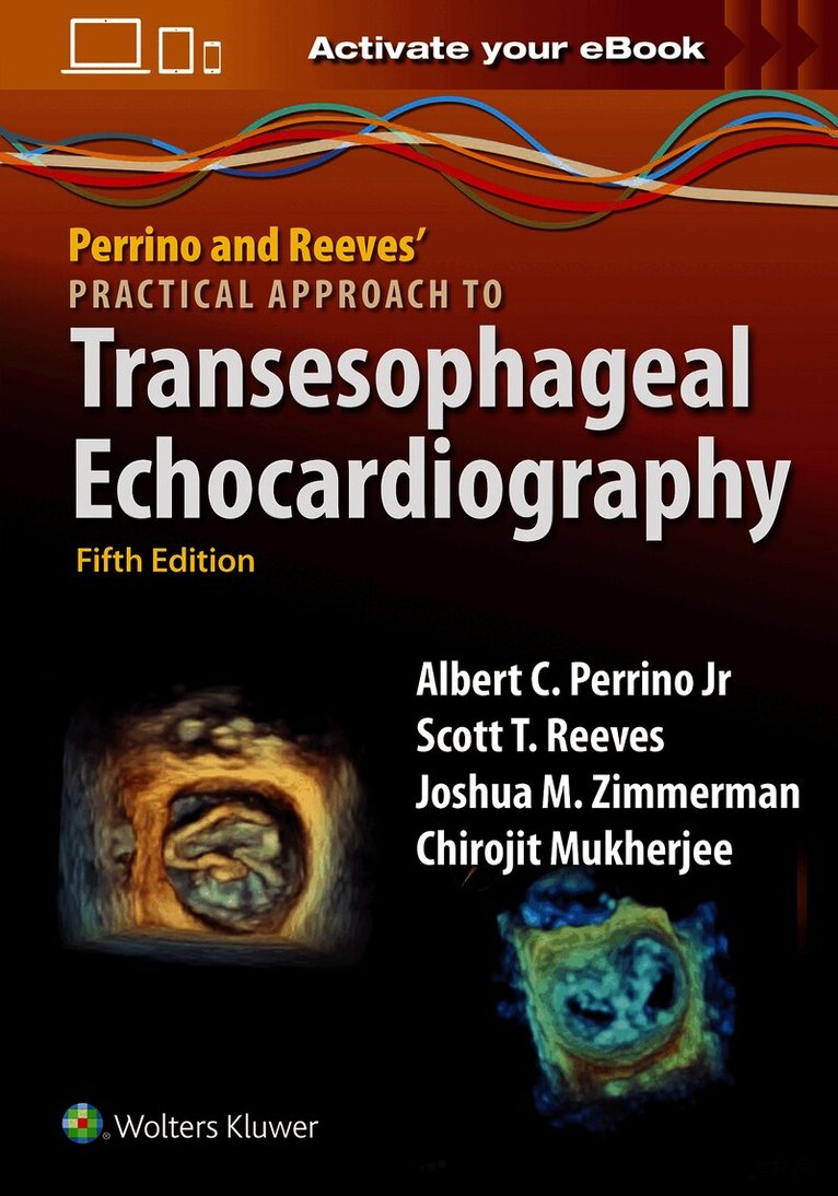 Perrino and Reeves' Practical Approach to Transesophageal Echocardiography