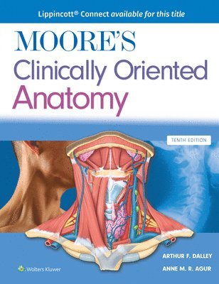 Arthur F. Dalley II, Anne M. R. Agur - Moore's Clinically Oriented Anatomy, Häftad