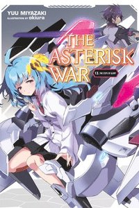 bokomslag The Asterisk War, Vol. 13 (light novel)