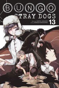 bokomslag Bungo Stray Dogs, Vol. 13