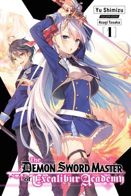 The Demon Sword Master of Excalibur Academy, Vol. 1 (light novel) 1