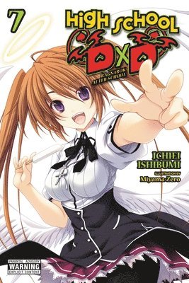 bokomslag High School DxD, Vol. 7 (light novel)