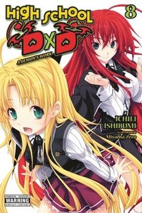 bokomslag High School DxD, Vol. 8 (light novel)