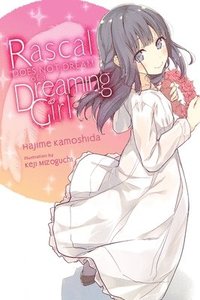 bokomslag Rascal Does Not Dream of a Dreaming Girl (light novel)