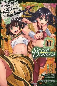 bokomslag Is It Wrong to Try to Pick Up Girls in a Dungeon? On the Side: Sword Oratoria, Vol. 14 (manga)