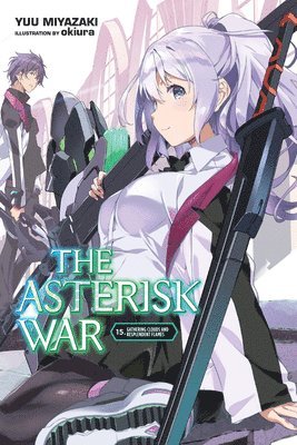 bokomslag The Asterisk War, Vol. 15 (light novel)