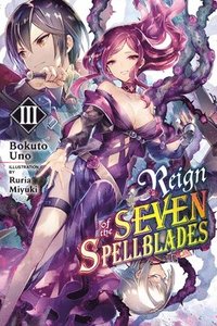 bokomslag Reign of the Seven Spellblades, Vol. 3 (light novel)