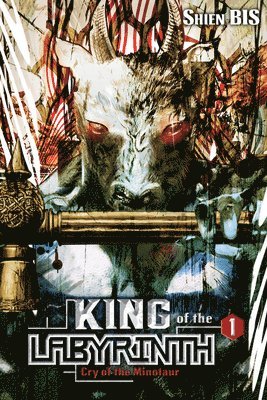 bokomslag King of the Labyrinth, Vol. 1 (light novel)