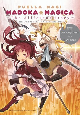 Puella Magi Madoka Magica: The Different Story 1