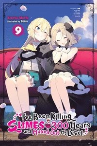bokomslag I've Been Killing Slimes for 300 Years and Maxed Out My Level, Vol. 9 (light novel)