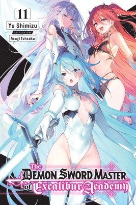 bokomslag Demon Sword Master of Excalibur Academy, Vol. 4 (light novel)