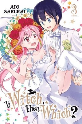 If Witch, Then Which?, Vol. 3 1