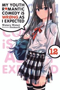 bokomslag My Youth Romantic Comedy Is Wrong, As I Expected, Vol. 12 (light novel)